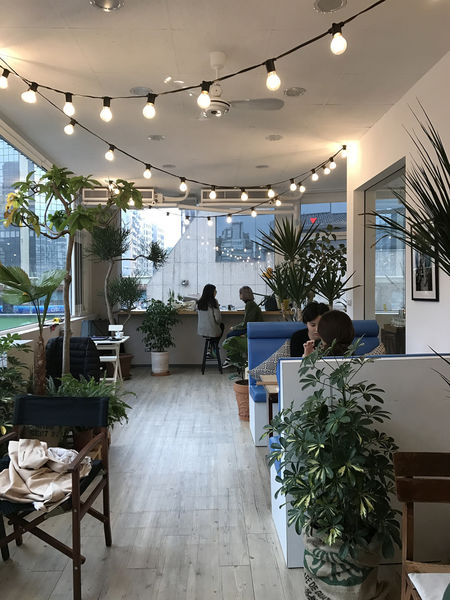 【台北⋈咖啡】「THIRD FLOOR COFFEE（在三樓 咖啡）」享受被綠意包圍伴著陽光入口的咖啡時光 @台客和文青的宜居生活𖤣𖤥𖠿𖤥𖤣